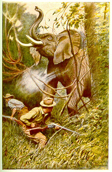 Elephant Hunting